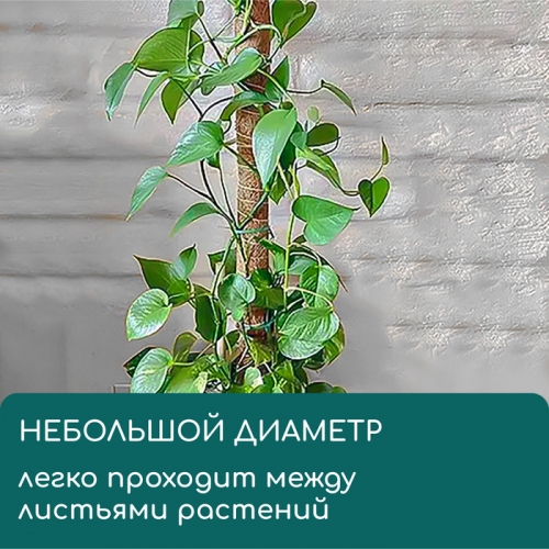Опора для подвязки растений, h=60 см, d=5 см, кокосовая, Greengo