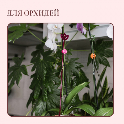 Опора для орхидей, h=44 см, пластик, малиновая, МИКС