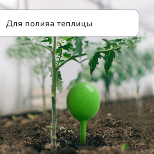 Автополив для комнатных растений, h=28 см, 380 мл, пластик, набор 2 шт., зелёный, Greengo