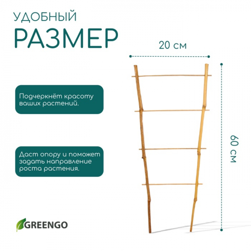 Шпалера, 60×20×1 см, бамбук, «Одинарная», Greengo