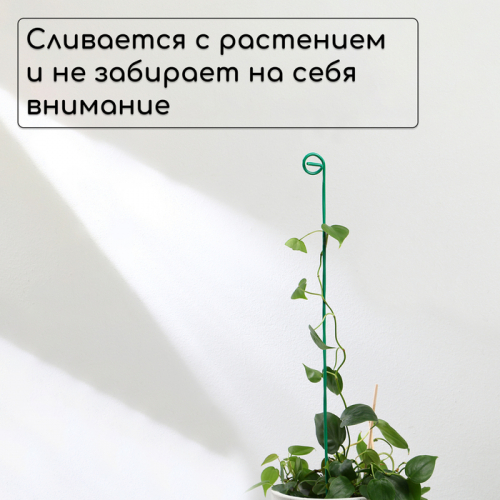 Колышек для подвязки растений, h=60 см, d=3 мм см, проволочный, зелёный, Greengo