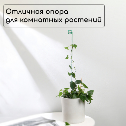 Колышек для подвязки растений, h=60 см, d=3 мм см, проволочный, зелёный, Greengo