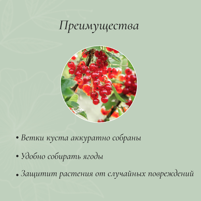 Кустодержатель, d=40 см, h=80 см, ножка d=0.3 см, металл, набор 2 шт., зелёный
