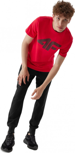 Футболка мужская TSHIRT  M0877, 4F