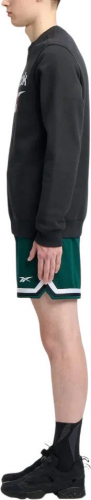 Джемпер мужской REEBOK IDENTITY BIG LOGO FLEECE CREW, Reebok