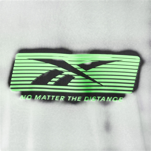 Футболка мужская NO MATTER THE DIST GFX TEE, Reebok
