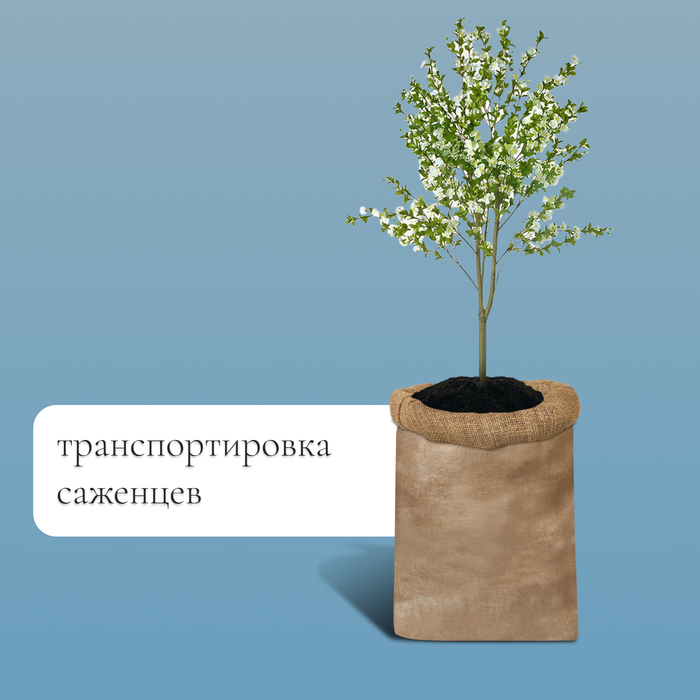 Мешок джутовый, 74×114 см, плотность 30×35 нитей, без завязок, Greengo