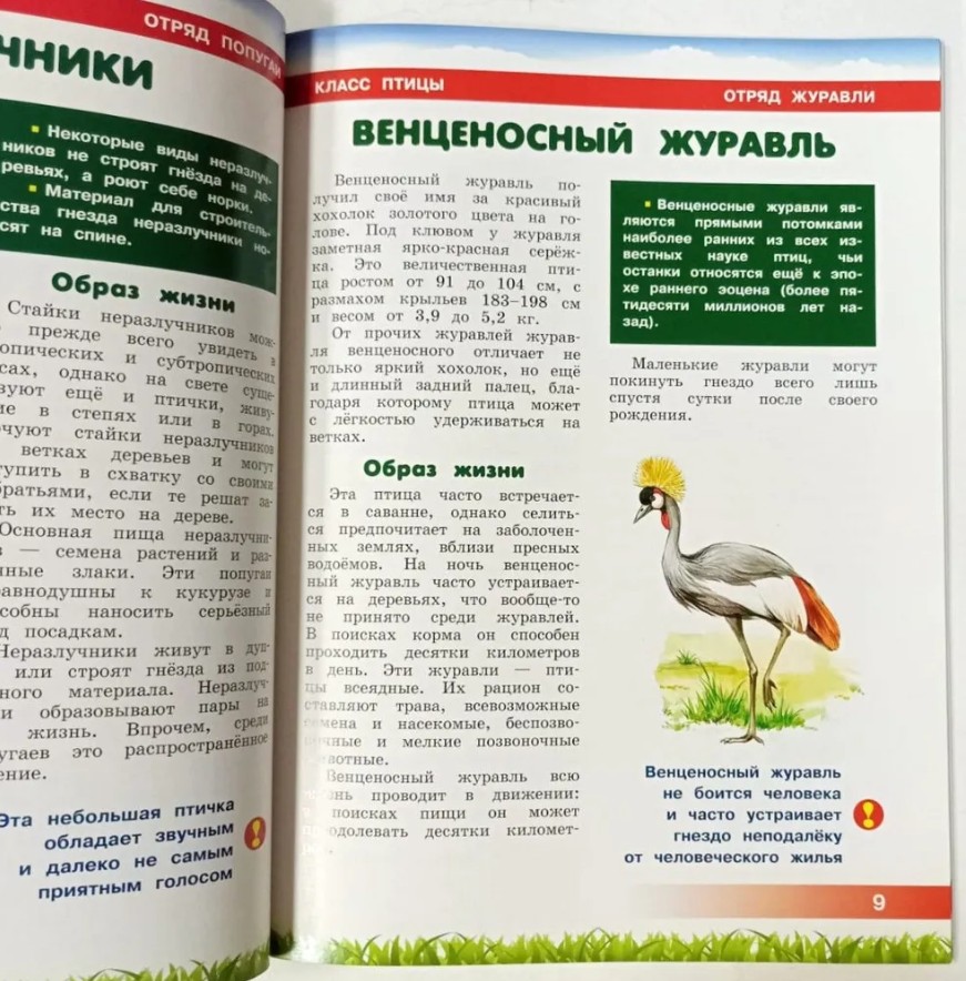 70 руб. +% 467 руб. В наличии 1 шт.!!! ЖИВОТНЫЕ АФРИКИ. Энциклопедия для детей (мягк.)
