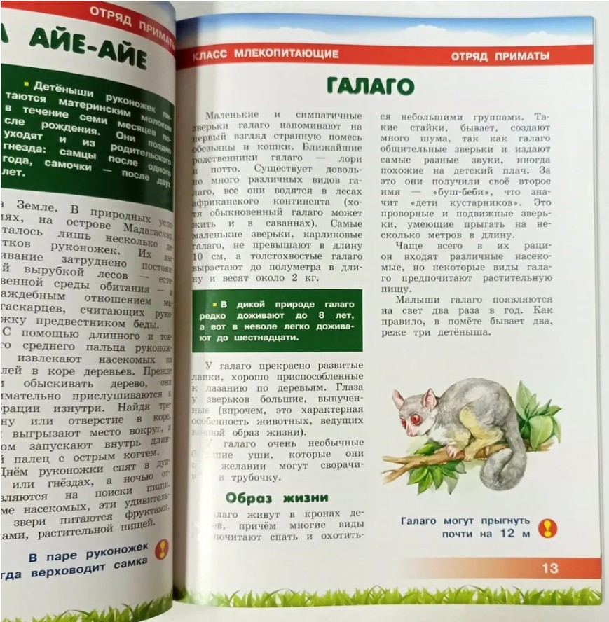 70 руб. +% 467 руб. В наличии 1 шт.!!! ЖИВОТНЫЕ АФРИКИ. Энциклопедия для детей (мягк.)