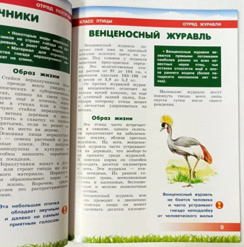  70 руб. +% 467 руб. В наличии 1 шт.!!! ЖИВОТНЫЕ АФРИКИ. Энциклопедия для детей (мягк.)