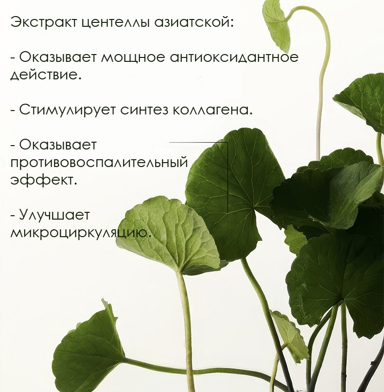 Пенка для умывания с экстрактом центеллы и аминокислотами Hankey, 60 гр.