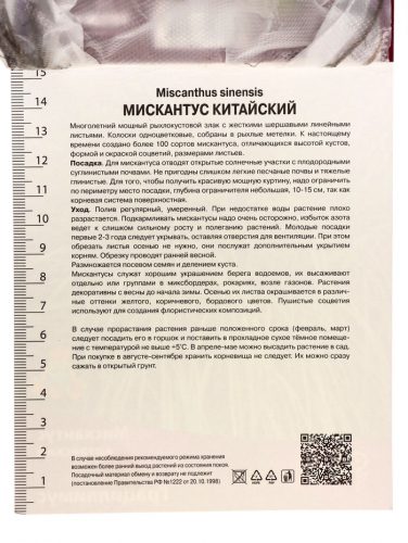 Мискантус китайский Грациллимус, р-р I, 1 шт, Осень 2025