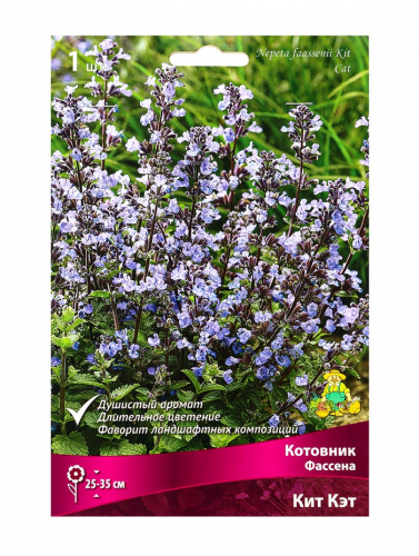 Котовник Фассена Кит Кэт, р-р I, 1 шт, Осень 2025