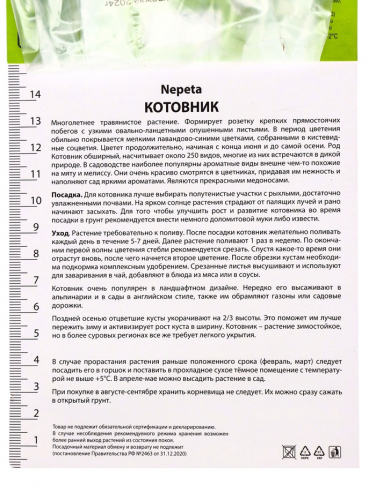 Котовник Фассена Пуррсиан Блу, р-р I, 1 шт, Осень 2025