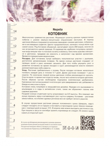 Котовник Фассена Кит Кэт, р-р I, 1 шт, Осень 2025