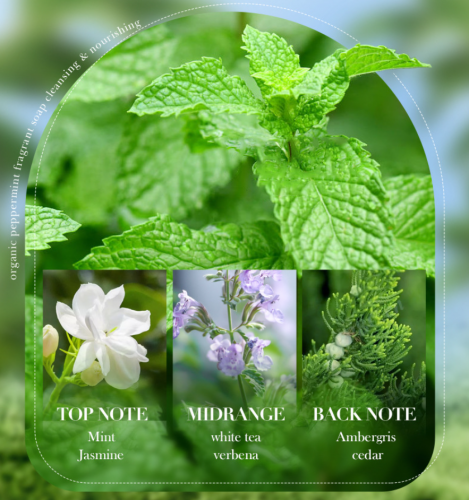 Мыло для лица и тела с экстрактом МЯТЫ Sadoer Organic Pepermint Fragrant Soap, 100 гр.