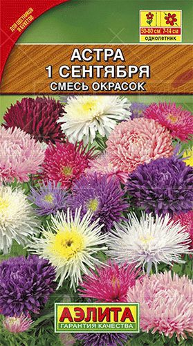 Ц Астра 1 сентября, смесь // Аэлита