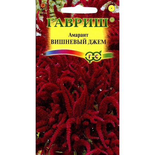 Ц Амаранд Вишневый джем // Гавриш