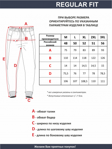12501600 Брюки мужские арт. 09679