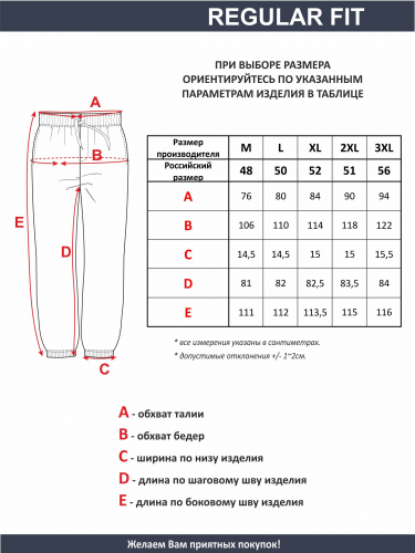 12501600 Брюки мужские арт. 09634