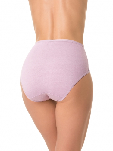 DENTELLE трусы жен 1 шт в уп size+ D_HW132_12