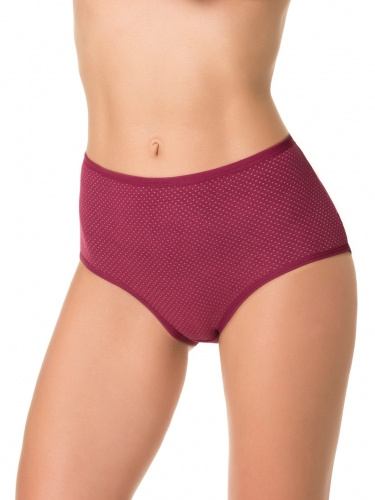 DENTELLE трусы жен 1 шт в уп size+ D_HW104_09