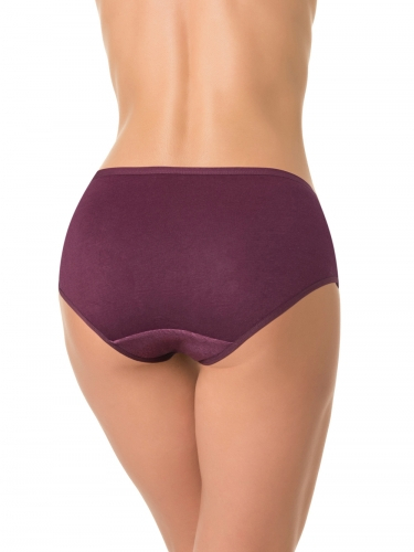 DENTELLE трусы жен 1 шт в уп size+ D_HW150_09