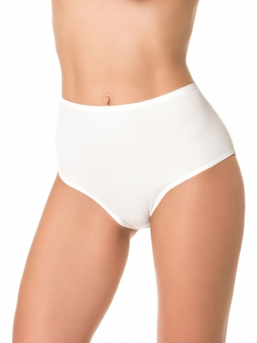 DENTELLE трусы жен 1 шт в уп size+ D_HW104_02