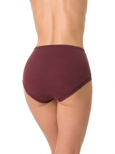 DENTELLE трусы жен 1 шт в уп size+ D_HW302_11