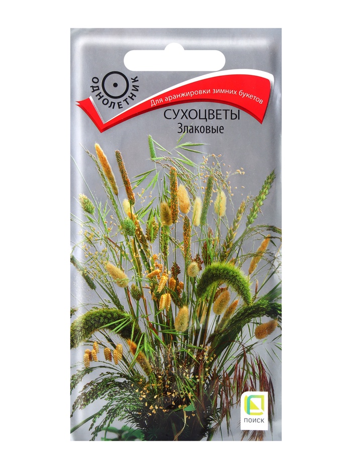 Семена Сухоцветы