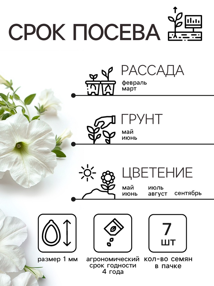 Семена Петуния