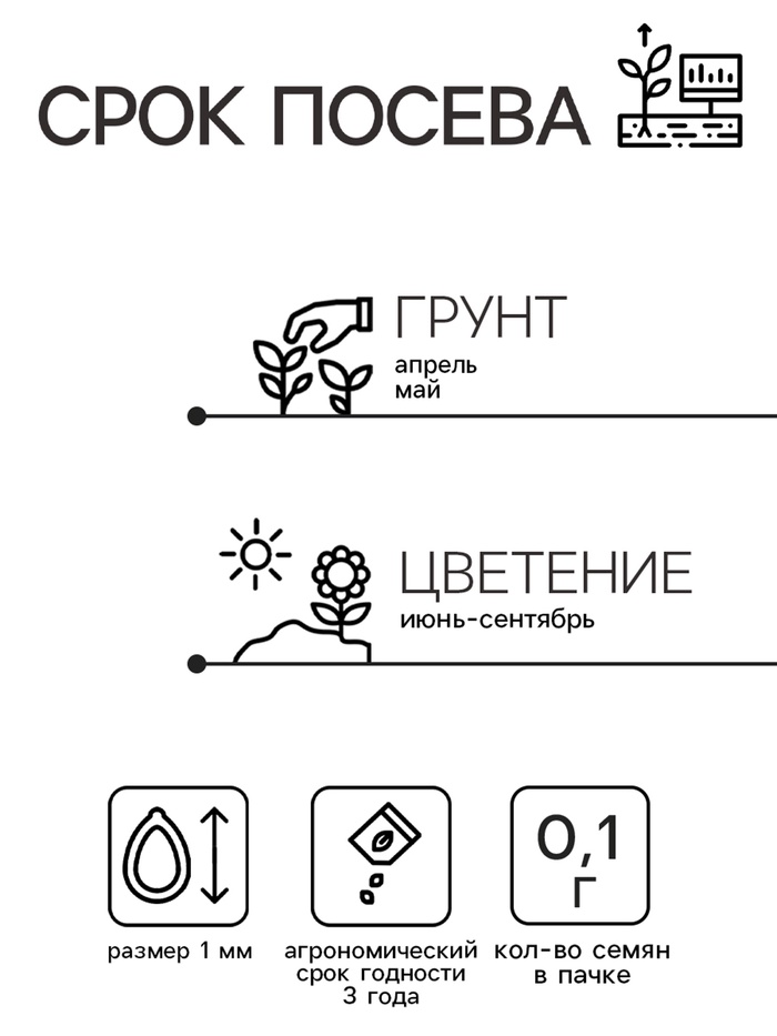 Семена цветов Иберис