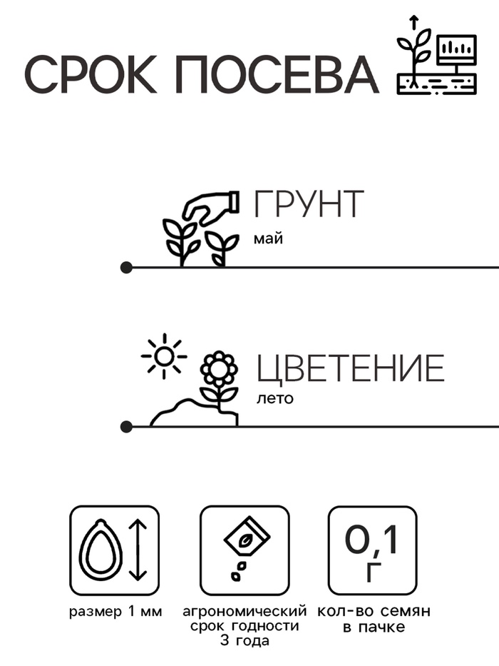 Семена цветов Иберис зонтичный