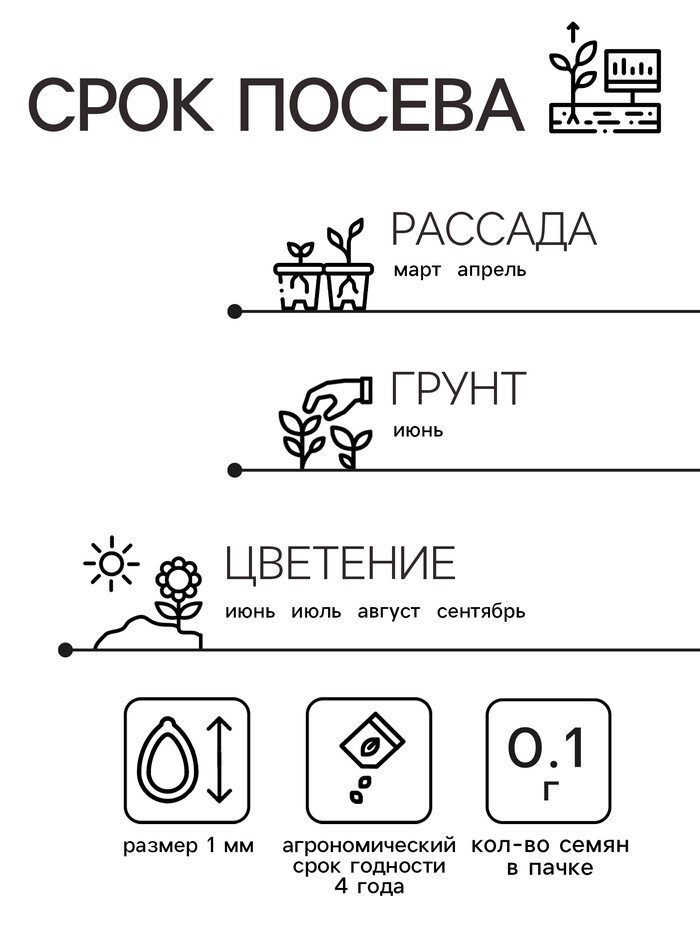 Семена Агератум