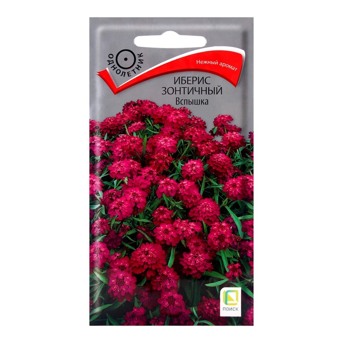 Семена цветов Иберис зонтичный