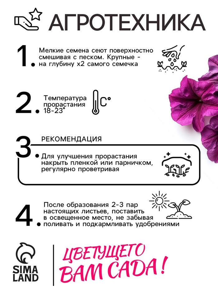 Семена Петуния
