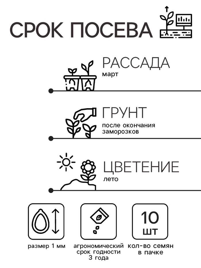 Семена цветов Катарантус