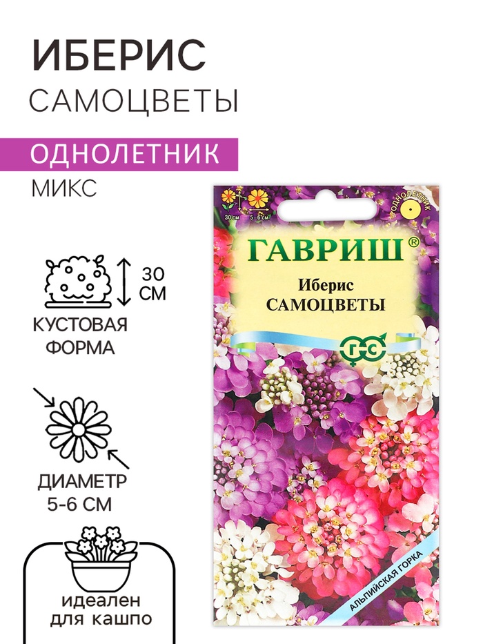 Семена цветов Иберис