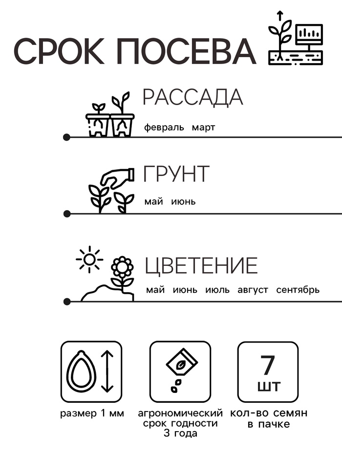 Семена Петуния