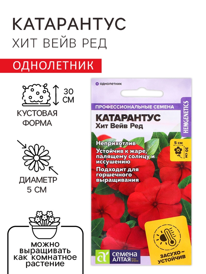 Семена цветов Катарантус