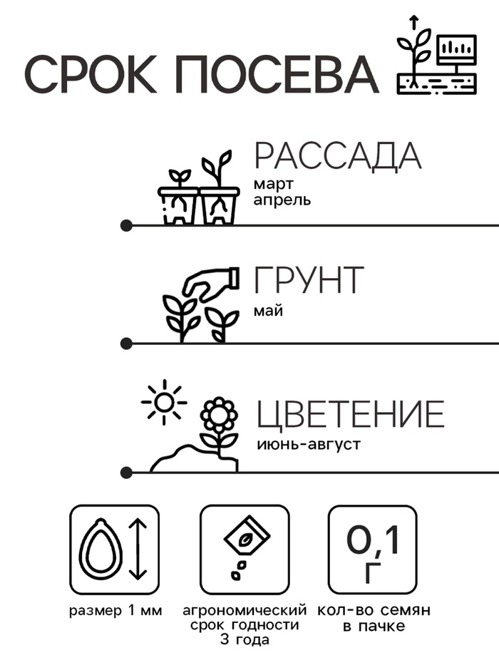 Семена цветов Иберис