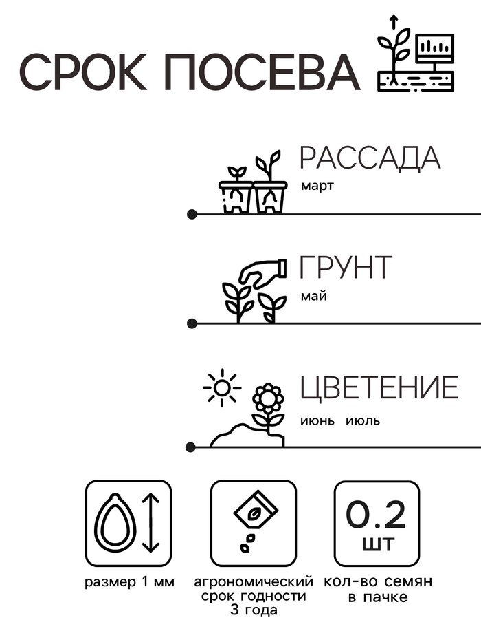 Семена цветов Маттиола Левкой