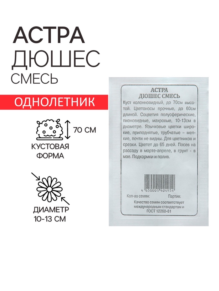 Семена Астра