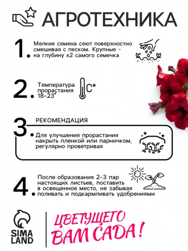 Семена Петуния Мамбо F1 пурпурная многоцветковая, 7 шт