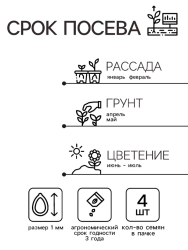 Семена комнатных цветов Бегония 