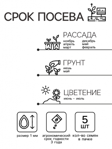 Семена комнатных цветов Гербера 