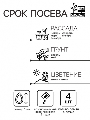 Семена комнатных цветов Бегония 