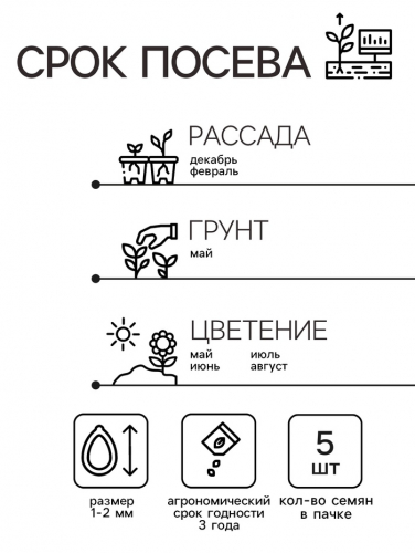 Семена комнатных цветов Пеларгония 