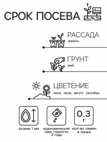 Семена  цветов Цинния 