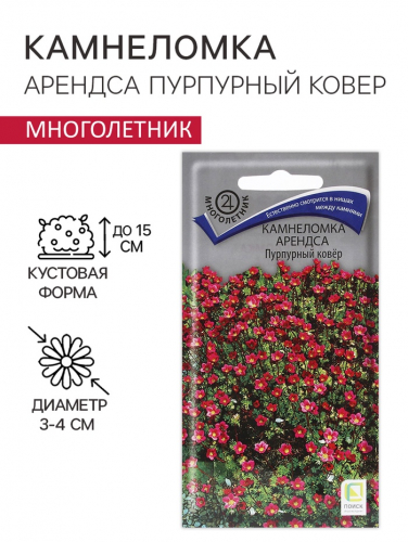 Семена цветов Камнеломка 